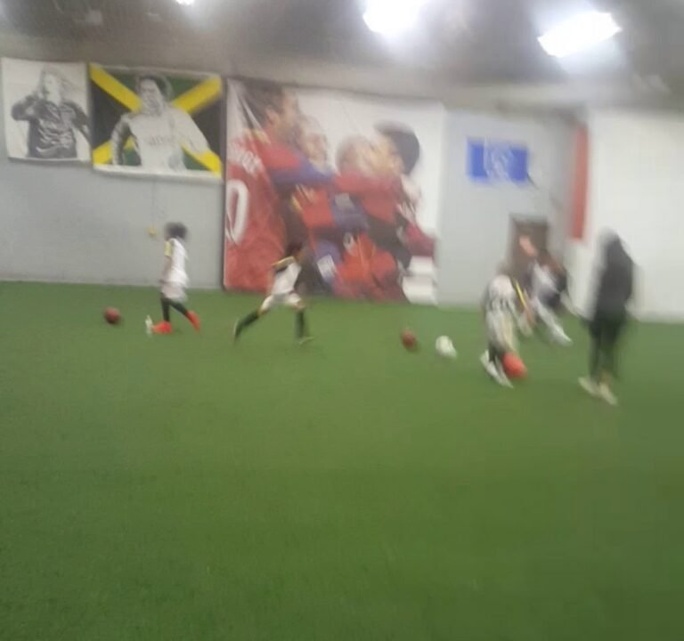 Soccer Field image 4