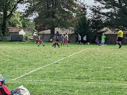 Soccer Field image 1
