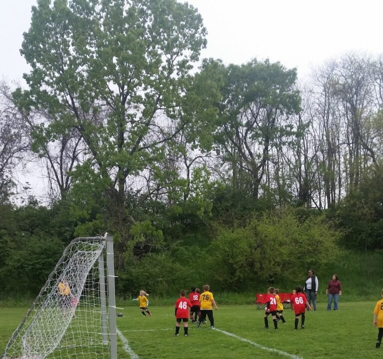 Soccer Field image 2