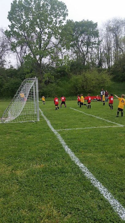 Soccer Field image 1