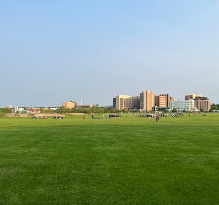 Soccer Field image 2