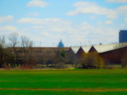 Soccer Field image 1