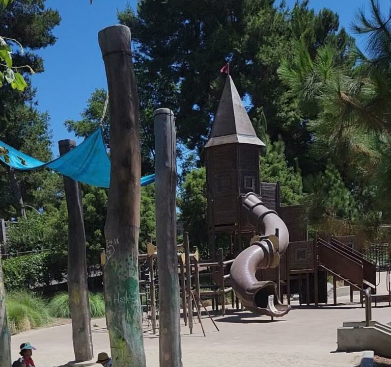 Soccer Field image 4