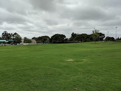 Soccer Field image 1