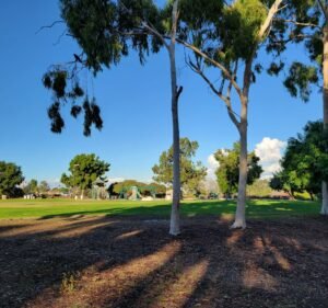 Soccer Field image 2