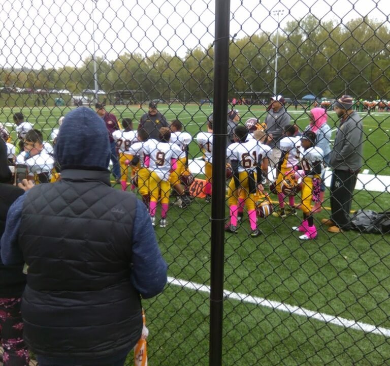 Soccer Field image 2