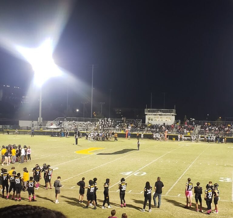 Soccer Field image 2