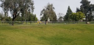 Soccer Field image 1