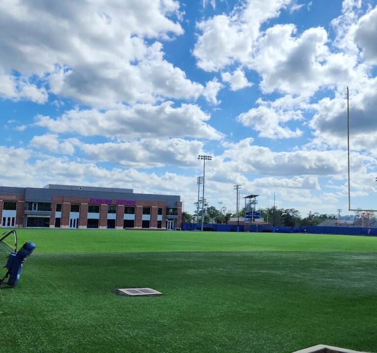 Soccer Field image 2