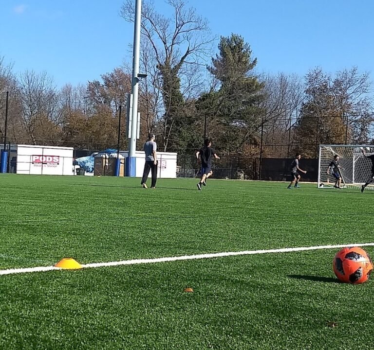 Soccer Field image 3