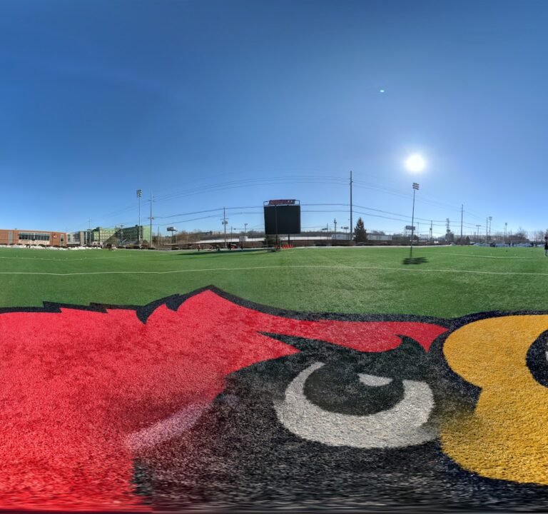 Soccer Field image 3