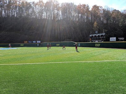 Soccer Field image 1