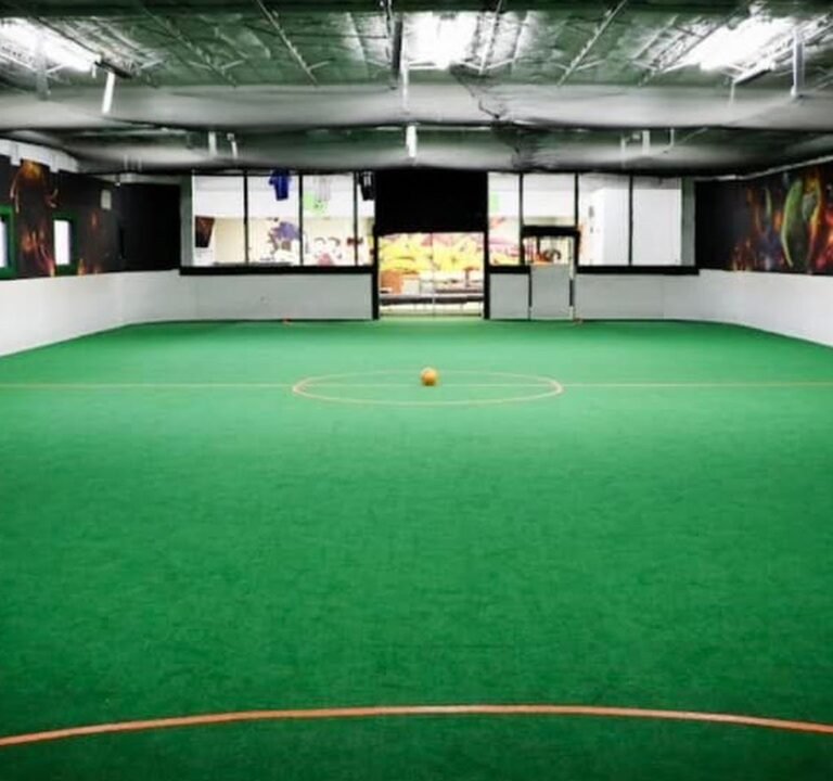 Soccer Field image 2