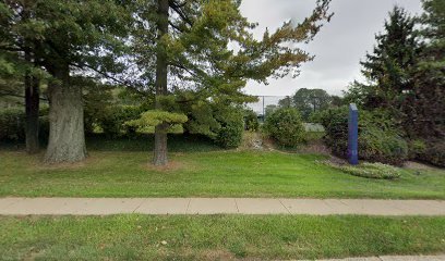Soccer Field image 1