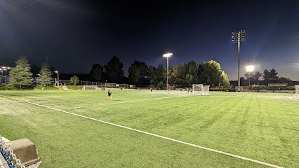 Soccer Field image 1