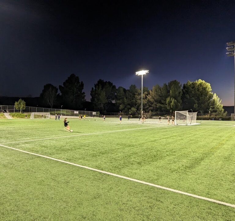 Soccer Field image 2