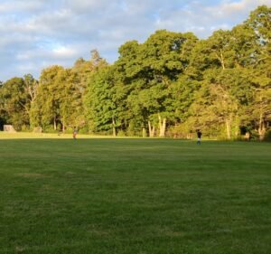 Soccer Field image 2