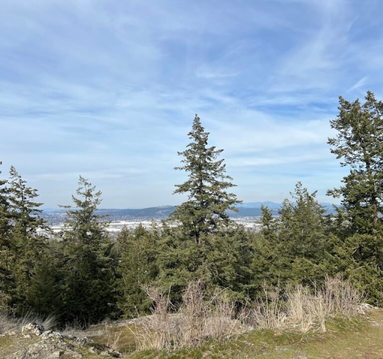 Soccer Field image 3