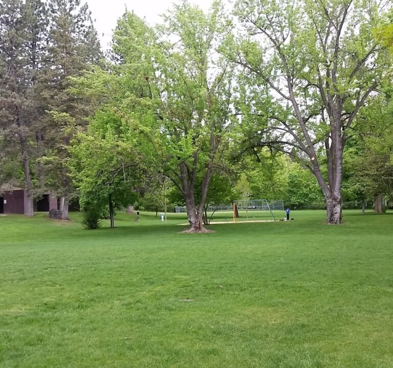 Soccer Field image 2