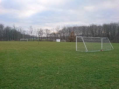 Soccer Field image 1