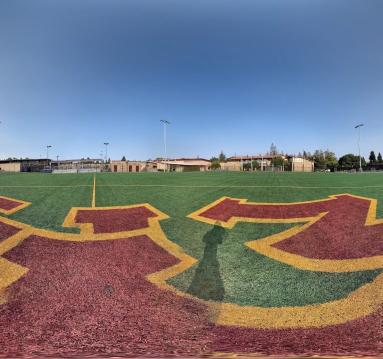 Soccer Field image 3