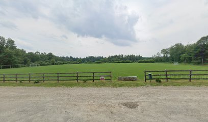 Soccer Field image 1