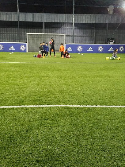 Soccer Field image 1