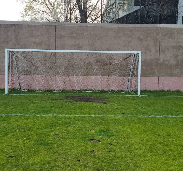 Soccer Field image 3