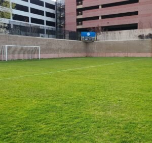 Soccer Field image 2
