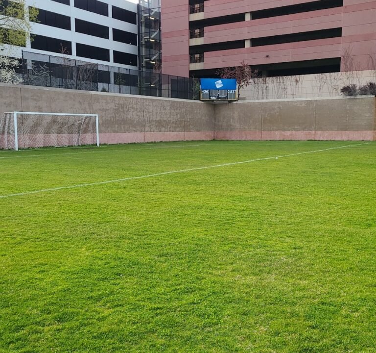 Soccer Field image 2