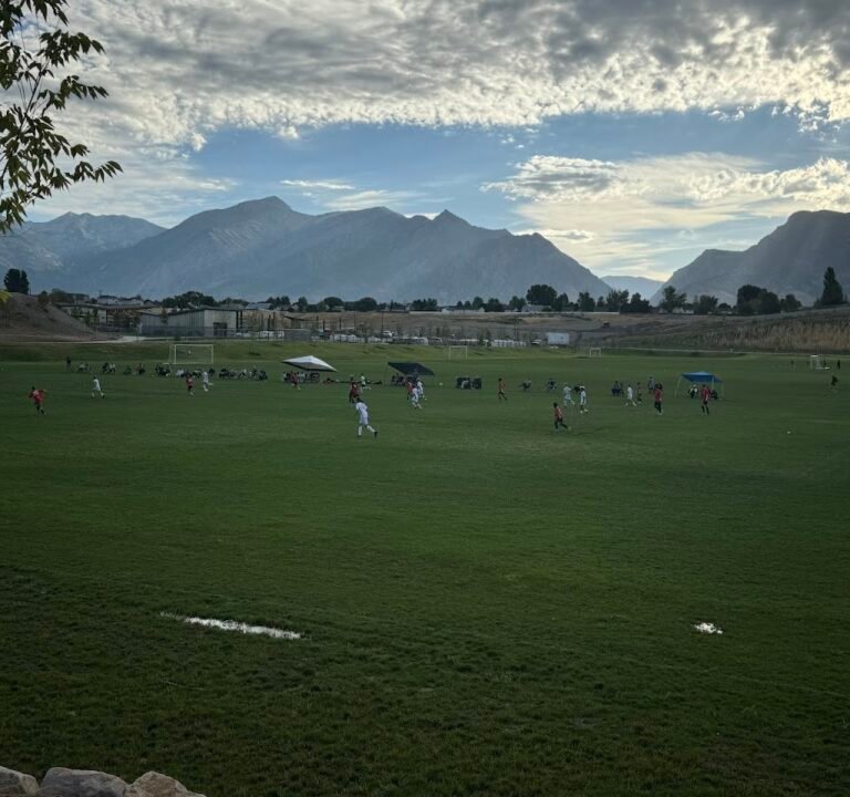 Soccer Field image 2