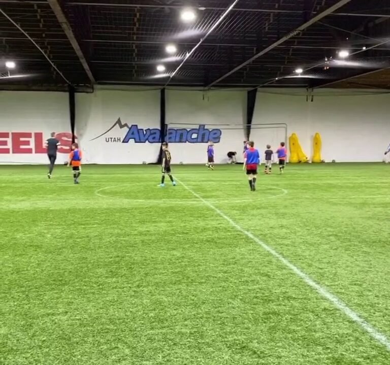 Soccer Field image 2