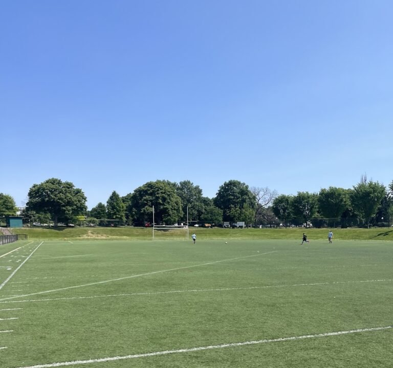 Soccer Field image 2