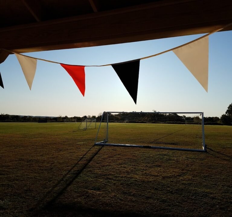 Soccer Field image 3