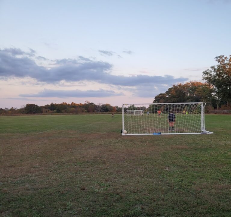 Soccer Field image 2