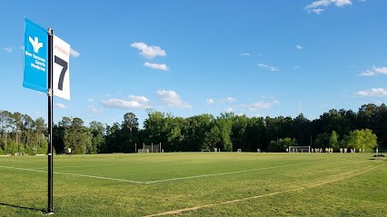Soccer Field image 1