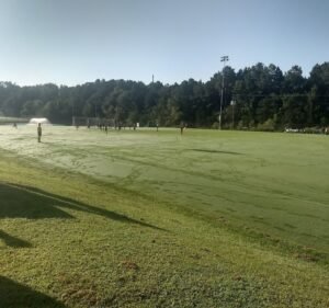 Soccer Field image 2