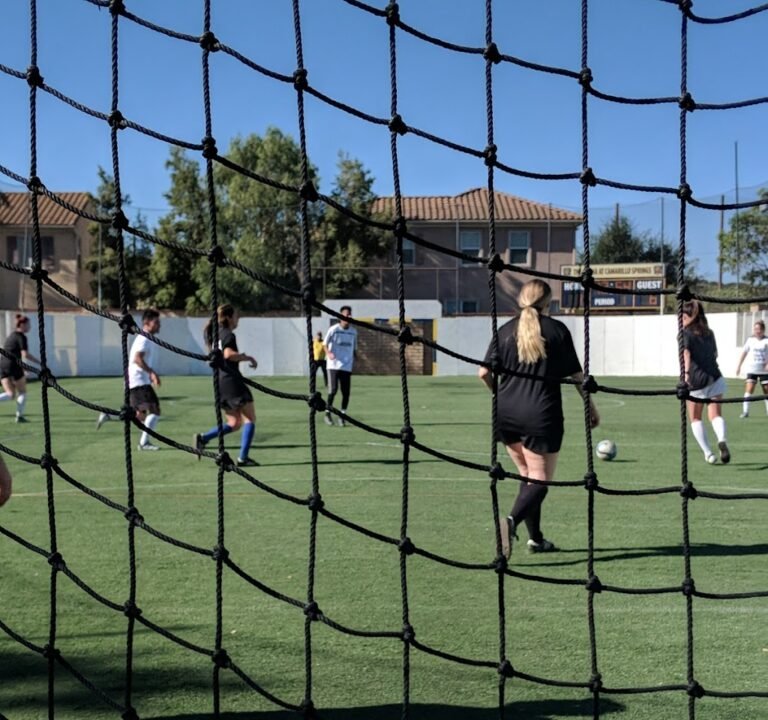 Soccer Field image 3