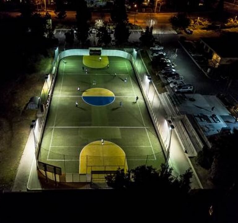 Soccer Field image 2