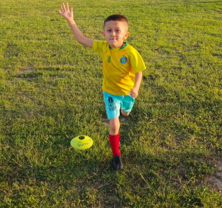 Soccer Field image 2