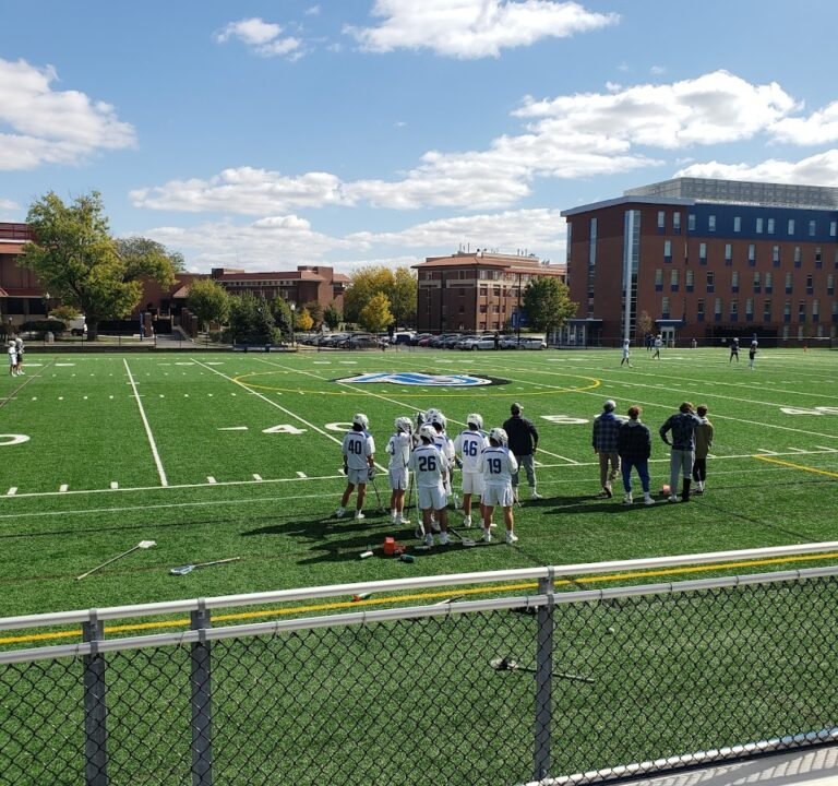 Soccer Field image 2