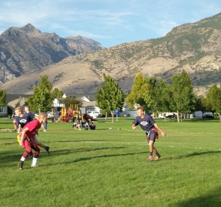 Soccer Field image 3