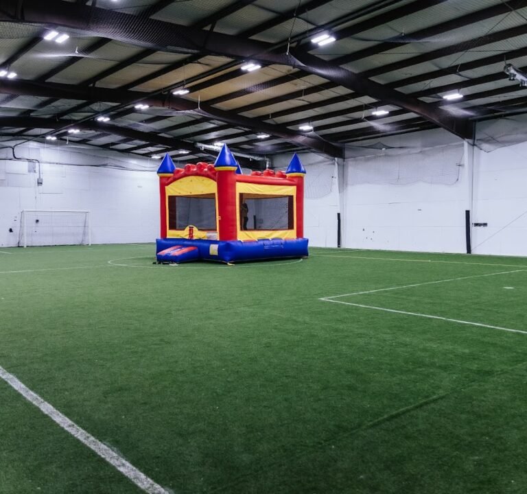 Soccer Field image 2