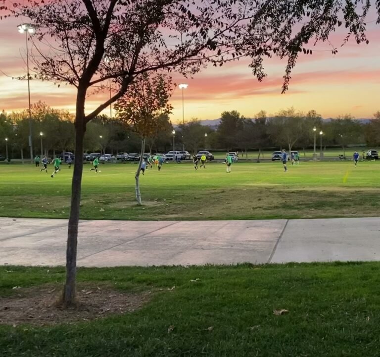 Soccer Field image 4