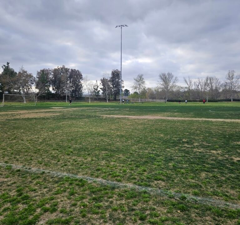 Soccer Field image 3