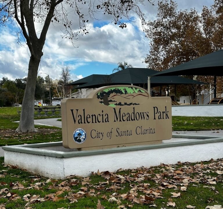 Soccer Field image 2