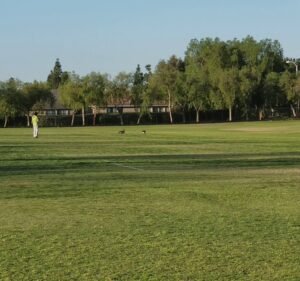 Soccer Field image 4