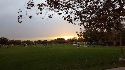 Soccer Field image 1