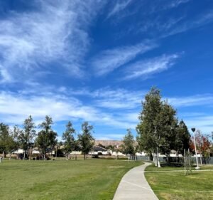 Soccer Field image 2