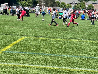 Soccer Field image 1